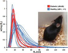 Graphical Abstract Image