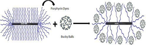 Graphical Abstract Image