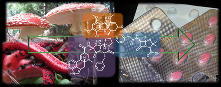 Graphical Abstract Image
