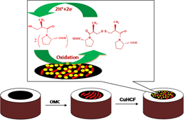 Graphical Abstract Image