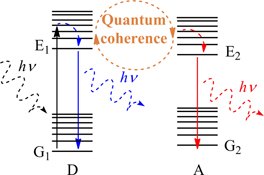 Graphical Abstract Image