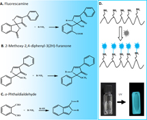 Graphical Abstract Image