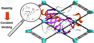 Graphical Abstract Image