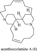 Graphical Abstract Image