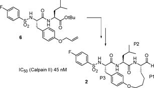 Graphical Abstract Image