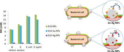 Graphical Abstract Image