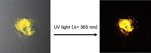 Graphical Abstract Image