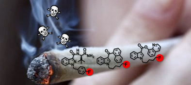 Graphical Abstract Image