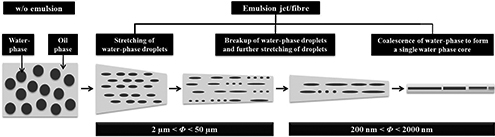 Graphical Abstract Image