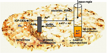 Graphical Abstract Image