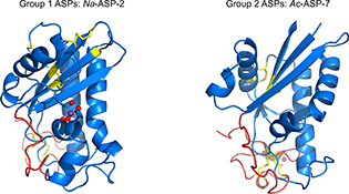 Graphical Abstract Image