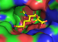 Graphical Abstract Image