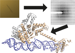 Graphical Abstract Image