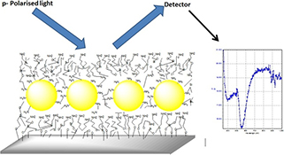 Graphical Abstract Image