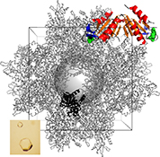 Graphical Abstract Image