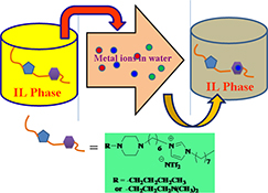 Graphical Abstract Image