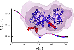 Graphical Abstract Image