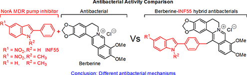 Graphical Abstract Image