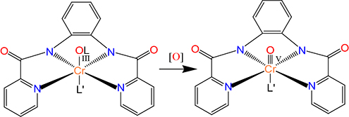 Graphical Abstract Image