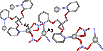 Graphical Abstract Image