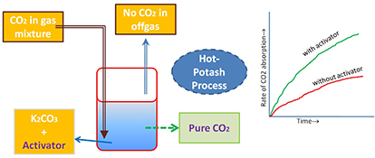 Graphical Abstract Image