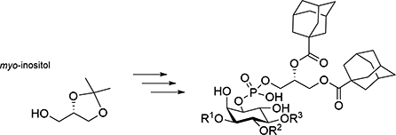 Graphical Abstract Image