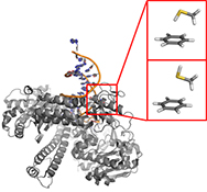 Graphical Abstract Image