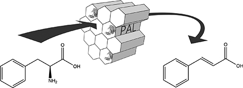 Graphical Abstract Image