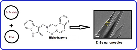 Graphical Abstract Image