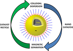 Graphical Abstract Image