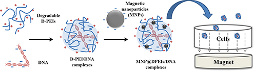 Graphical Abstract Image