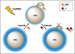 Graphical Abstract Image