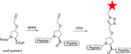 Graphical Abstract Image