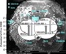 Graphical Abstract Image