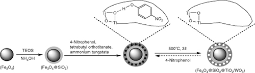 Graphical Abstract Image