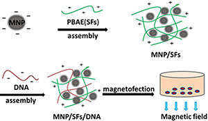 Graphical Abstract Image