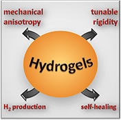 Graphical Abstract Image