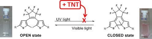 Graphical Abstract Image