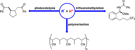 Graphical Abstract Image