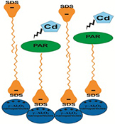 Graphical Abstract Image