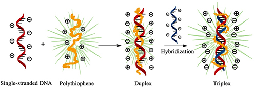 Graphical Abstract Image