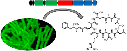 Graphical Abstract Image