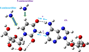 Graphical Abstract Image