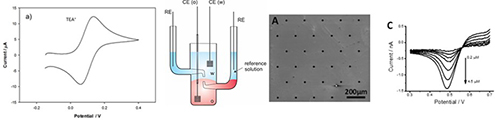 Graphical Abstract Image