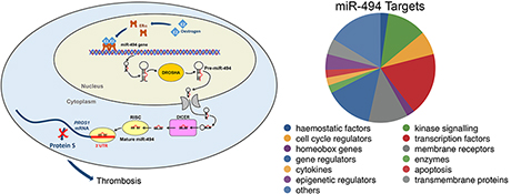 Graphical Abstract Image