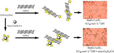 Graphical Abstract Image