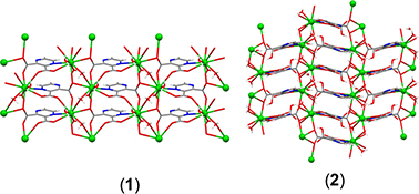 Graphical Abstract Image