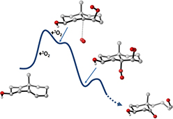 Graphical Abstract Image