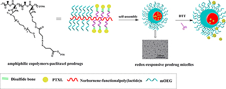 Graphical Abstract Image