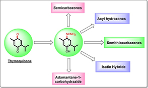 Graphical Abstract Image